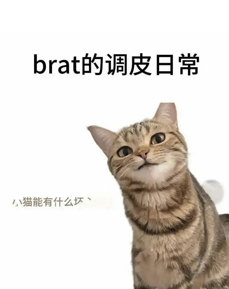 你会爱上用spank带来的刺激吗？探索更多隐藏的快感！ 一