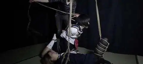 sub是什么？深入探讨BDSM中的sub角色与其魅力所在 一