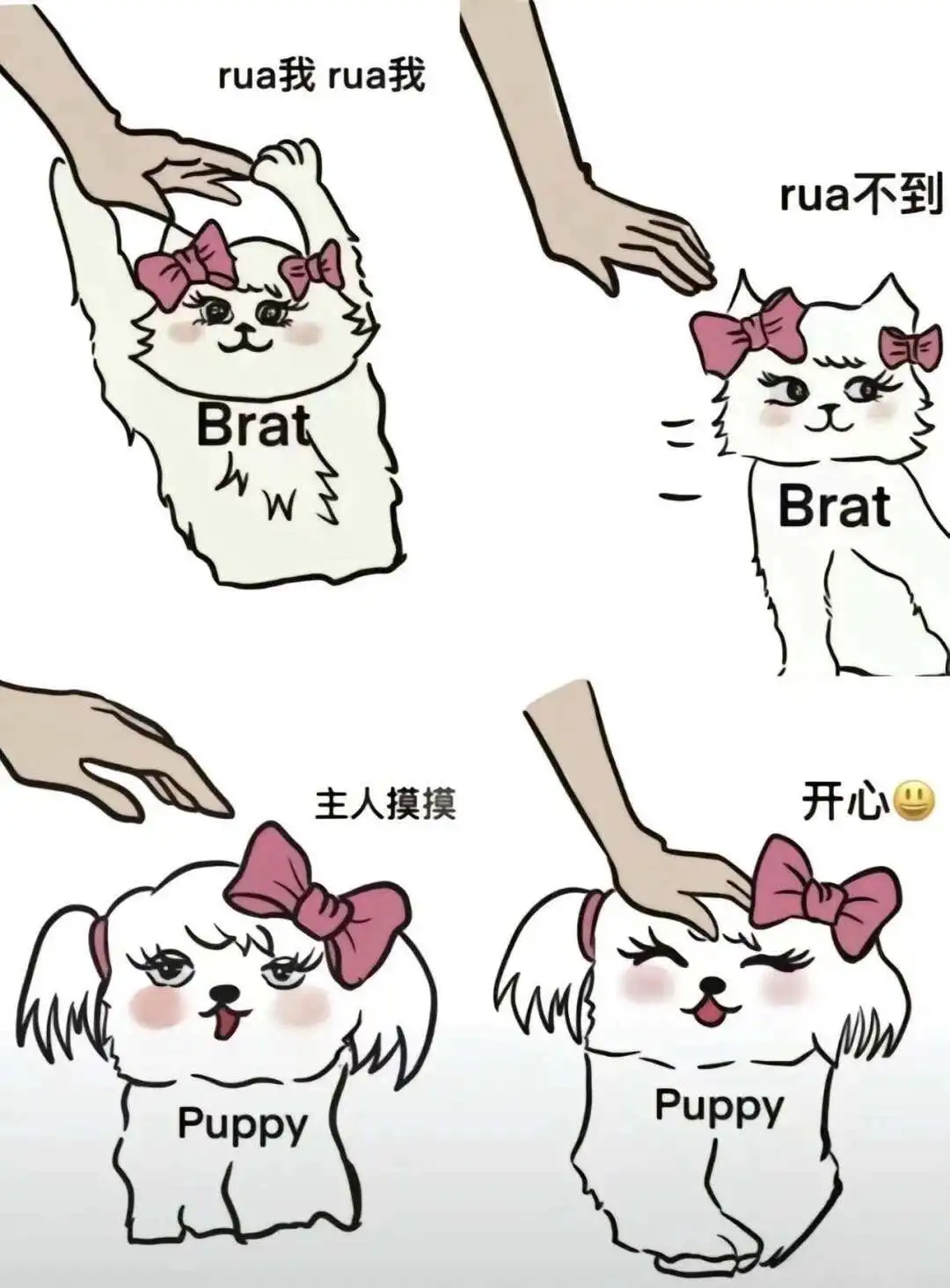 字母圈入圈是什么体验？揭开神秘面纱！ 一