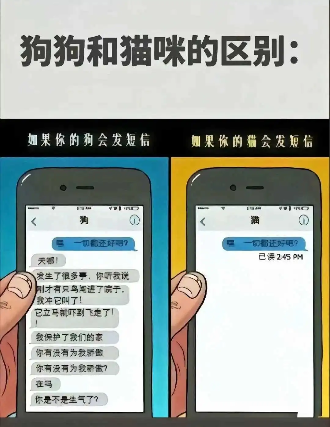 “ddlg是什么?”你是否也在探索这个神秘的世界? 一