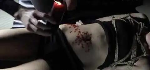 s倾向是什么？你可能不知道的深层含义与体验解析 一