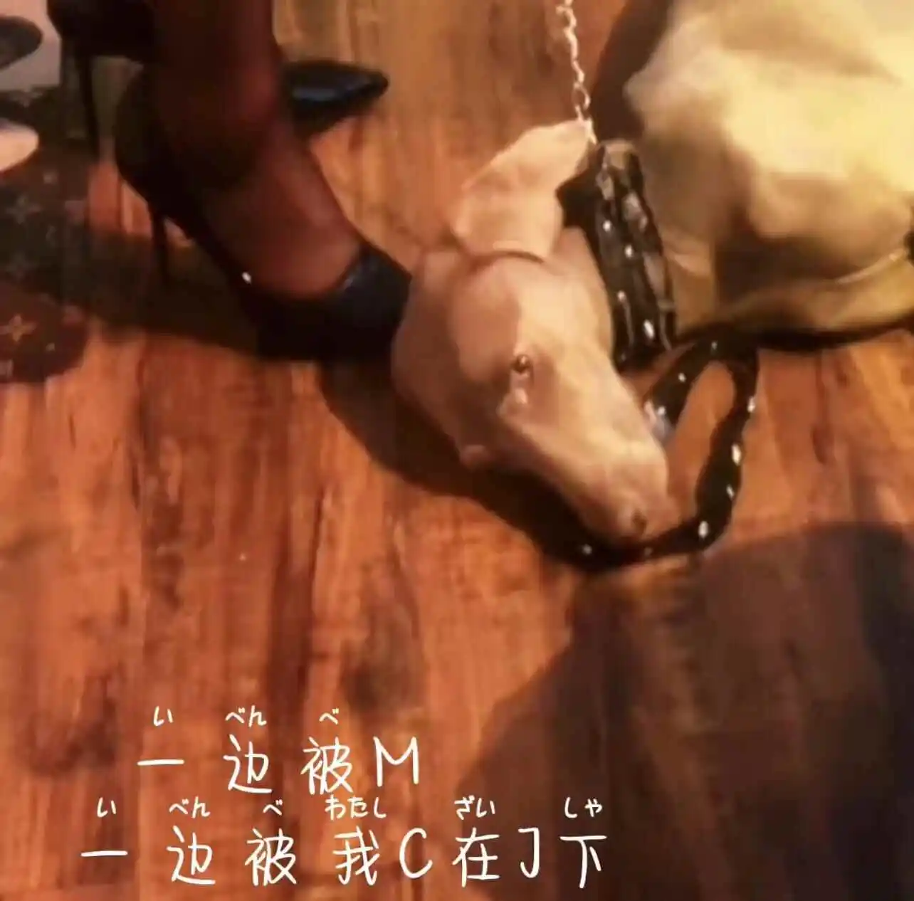西檬之家字母圈的aftercare是什么？ 一