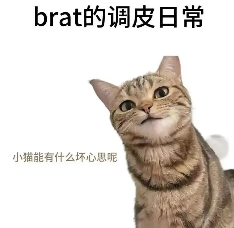 西檬之家字母圈新人入圈必读 一