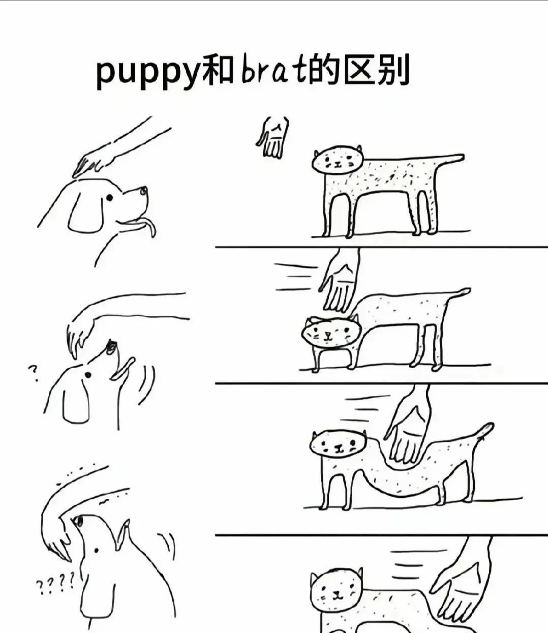 西檬之家字母圈圣水玩法解析 一