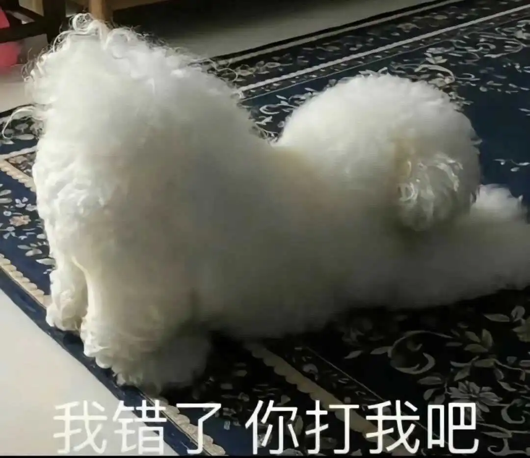 西檬之家BDSM圈子生存指南 一