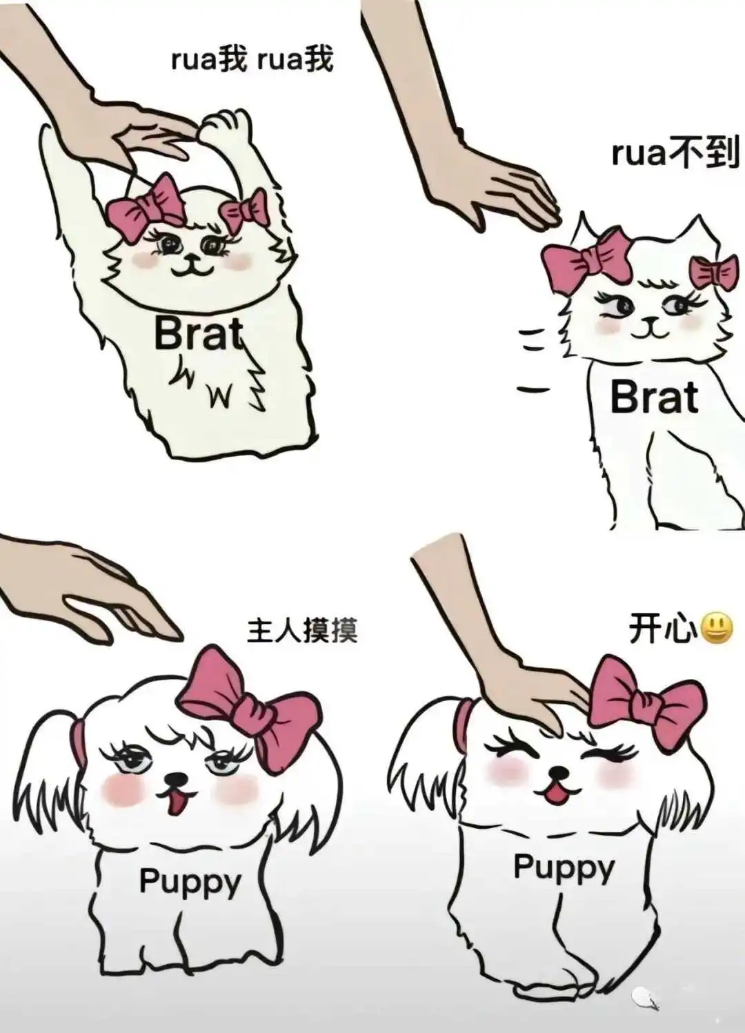 西檬之家K9犬系怎么入圈？字母圈新人必读 一