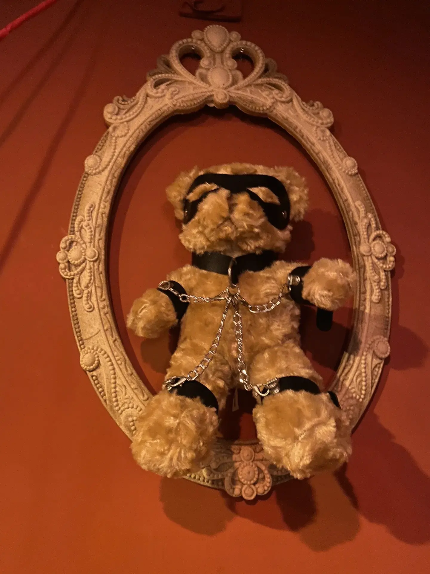 西檬之家ddlg是什么?你的字母圈属性是什么 一